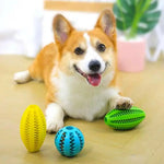 Jouets à mâcher pour chiens