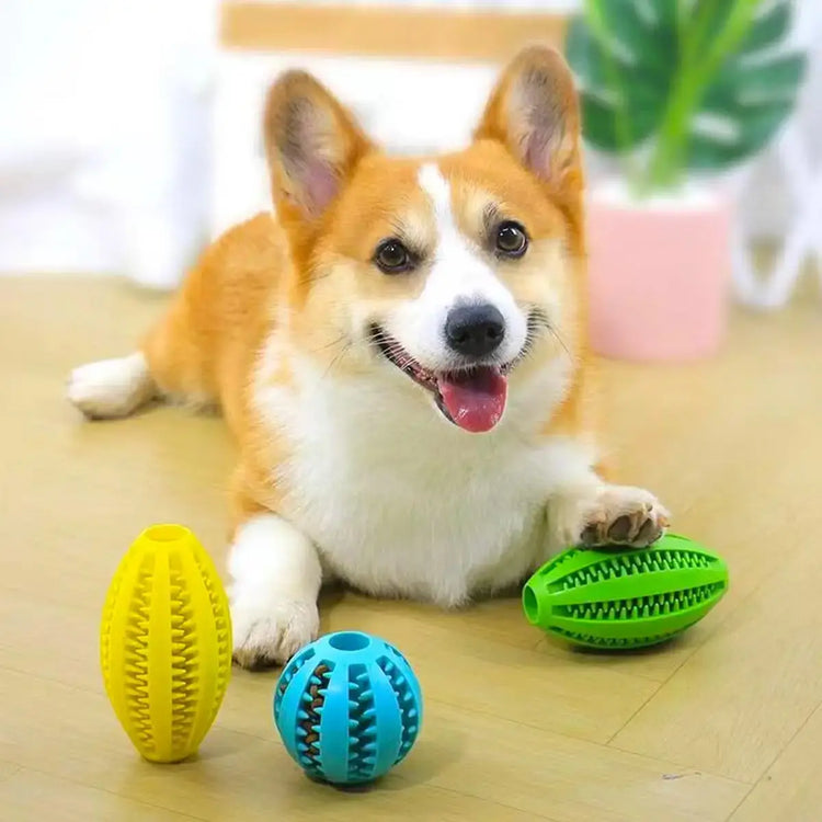Jouets à mâcher pour chiens