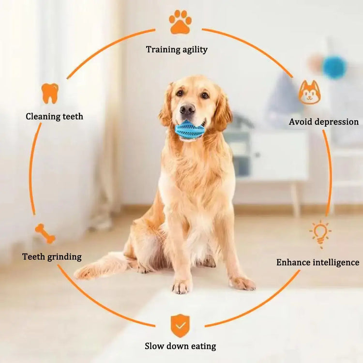 Jouets à mâcher pour chiens