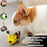 Jouets à mâcher pour chiens