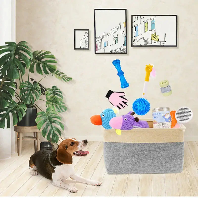 Jouets couineurs pour chiens