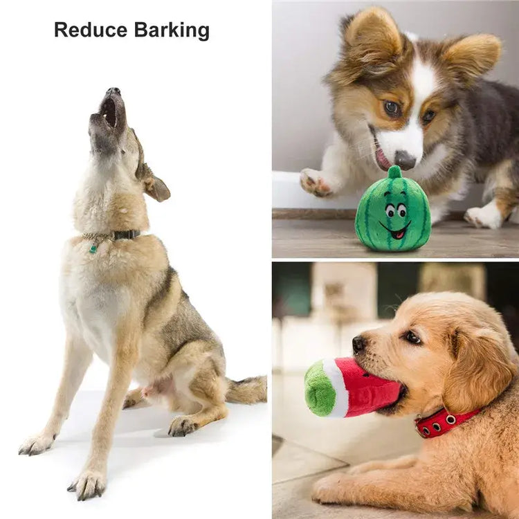 Jouets couineurs pour chiens
