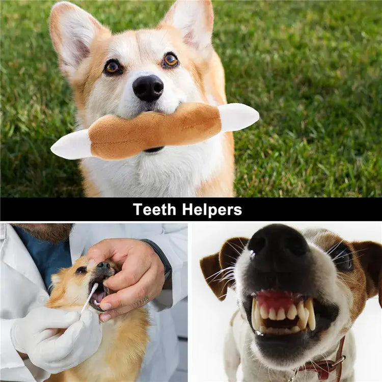 Jouets couineurs pour chiens