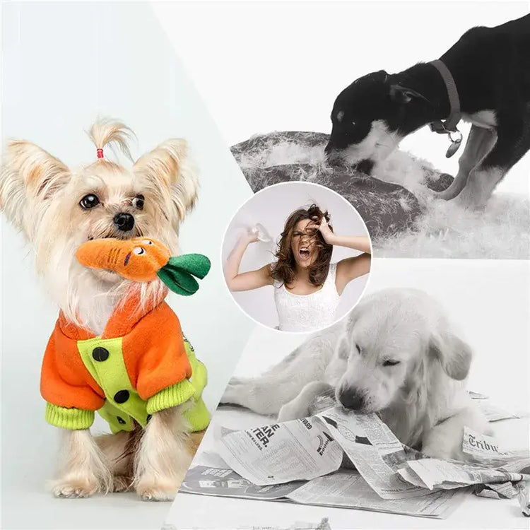 Jouets couineurs pour chiens