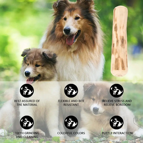 Jouets en bois à mâcher pour chiens - 2PCS / 23.5x4x4.2cm