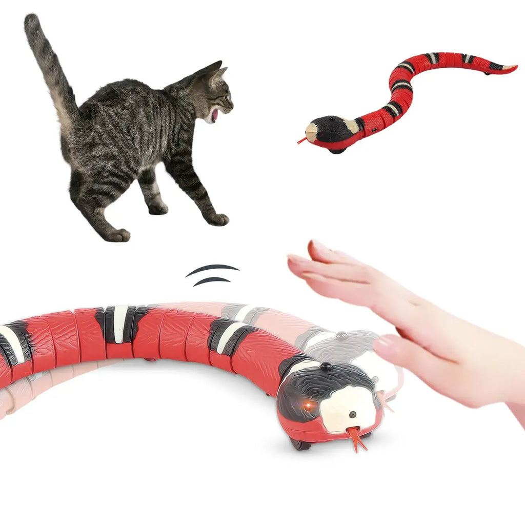 Jouets interactifs intelligents pour chats - Smart Snake