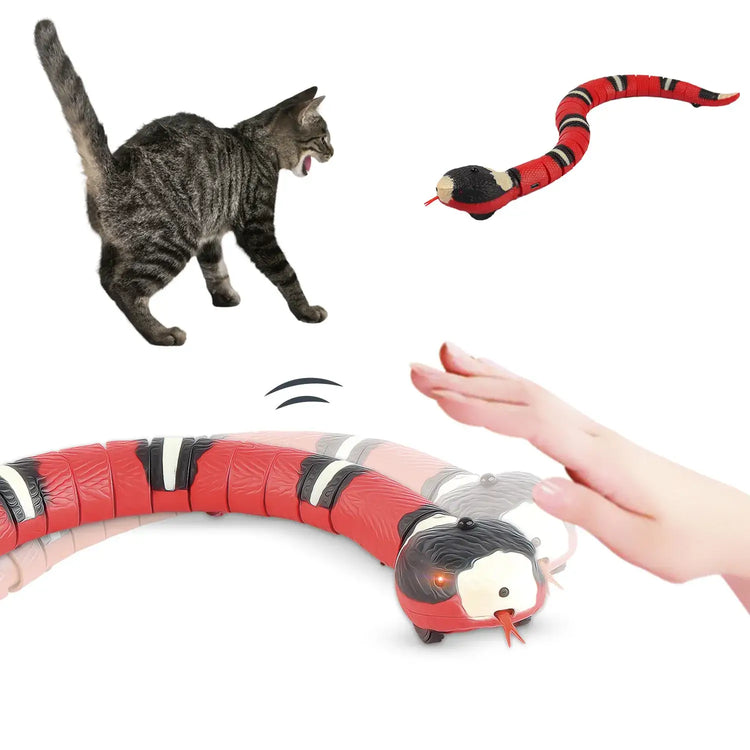 Jouets interactifs intelligents pour chats - Smart Snake