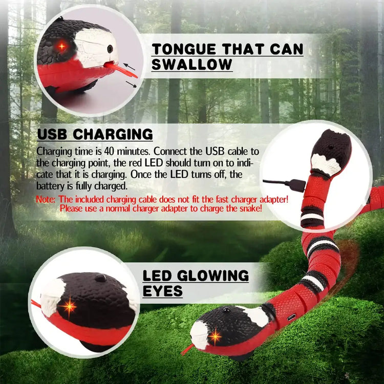Jouets interactifs intelligents pour chats - Smart Snake