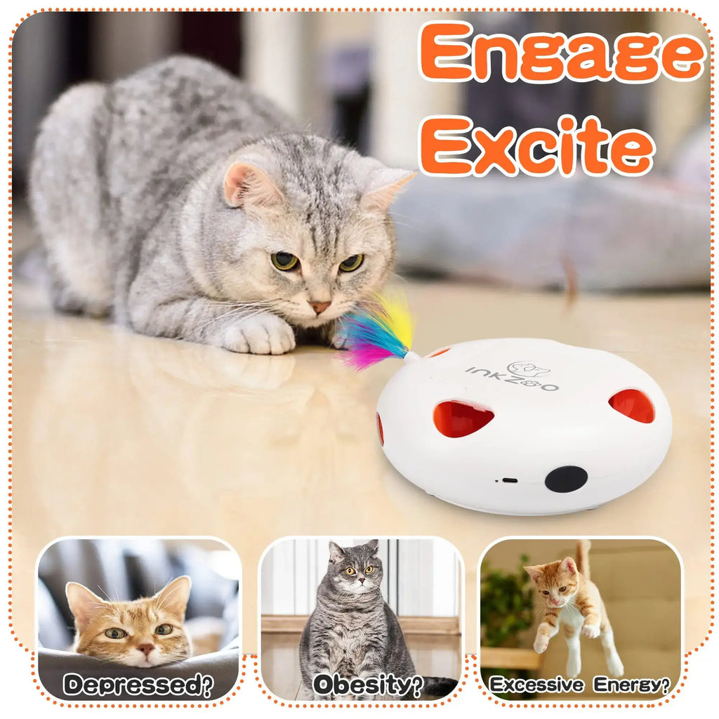 Jouets interactifs pour chats