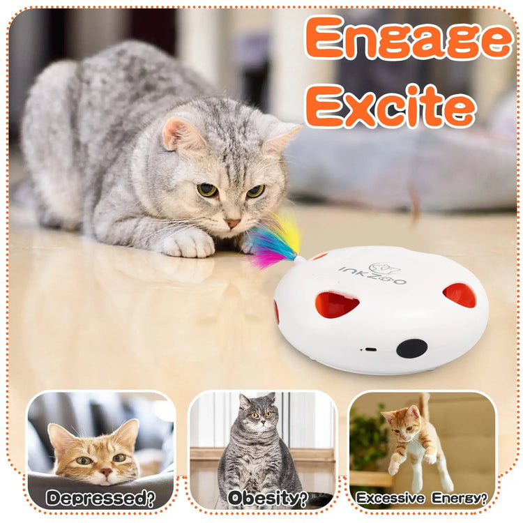 Jouets interactifs pour chats
