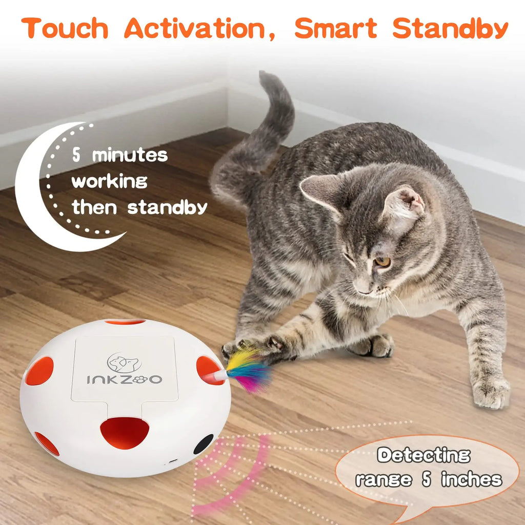 Jouets interactifs pour chats