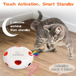 Jouets interactifs pour chats