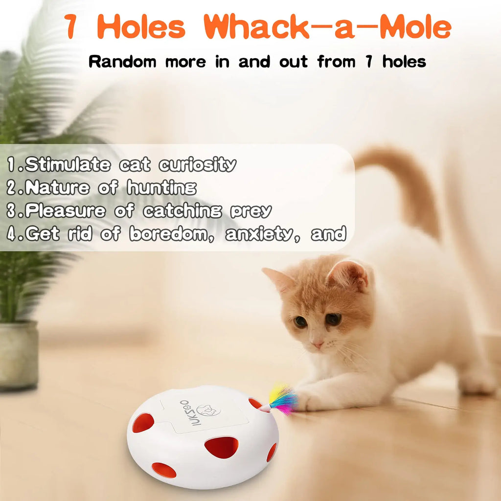Jouets interactifs pour chats