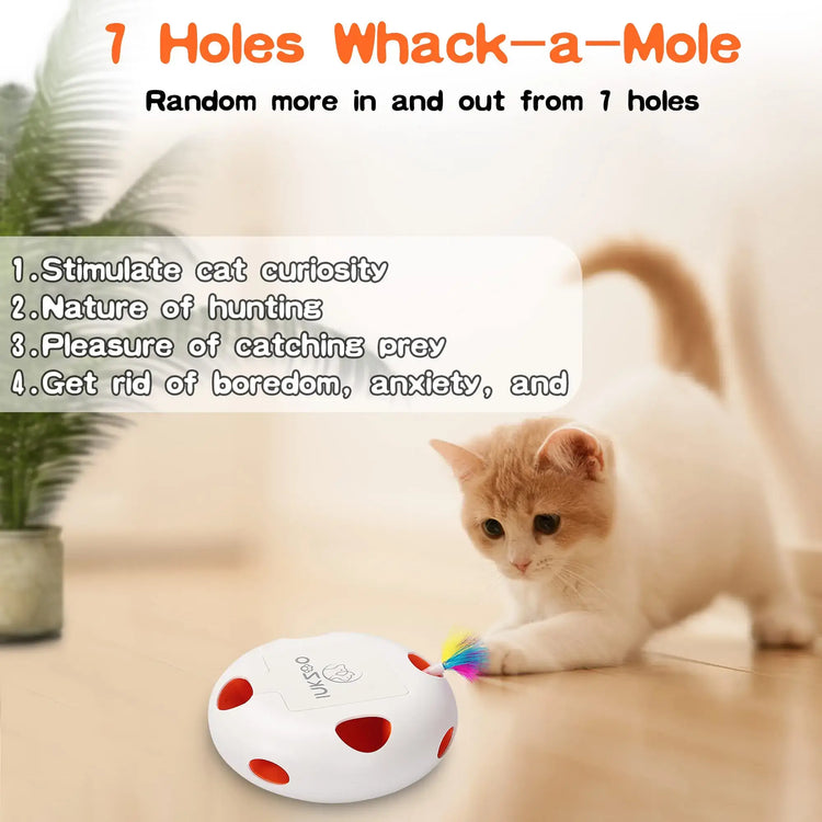 Jouets interactifs pour chats