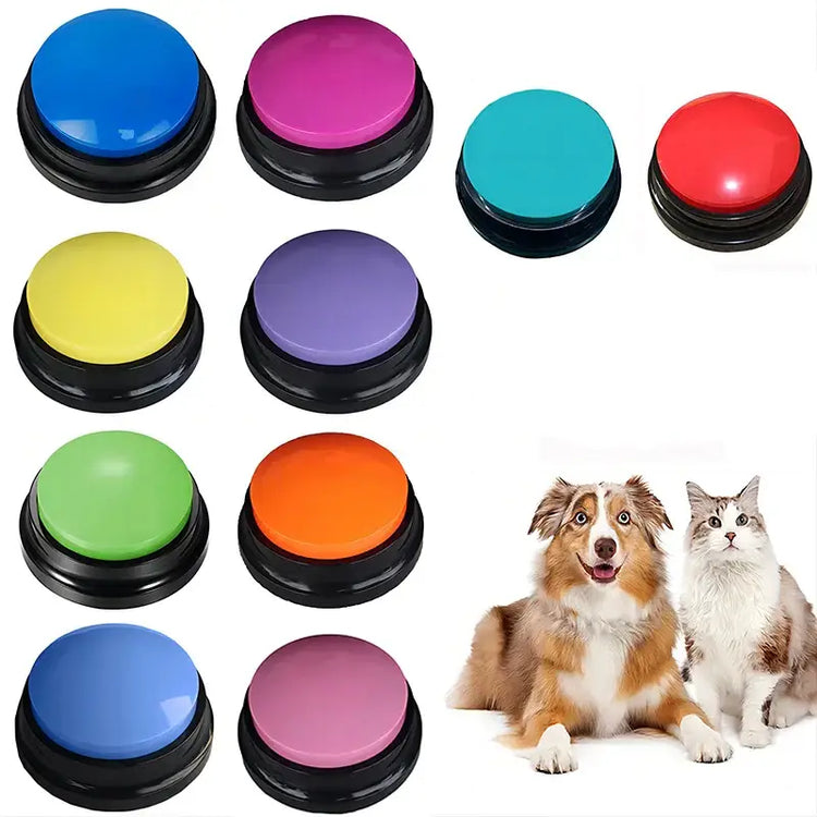 Jouets pour chiens amusants et enregistrables