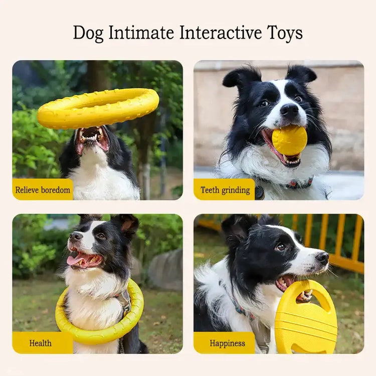 Jouets pour chiens durables en EVA