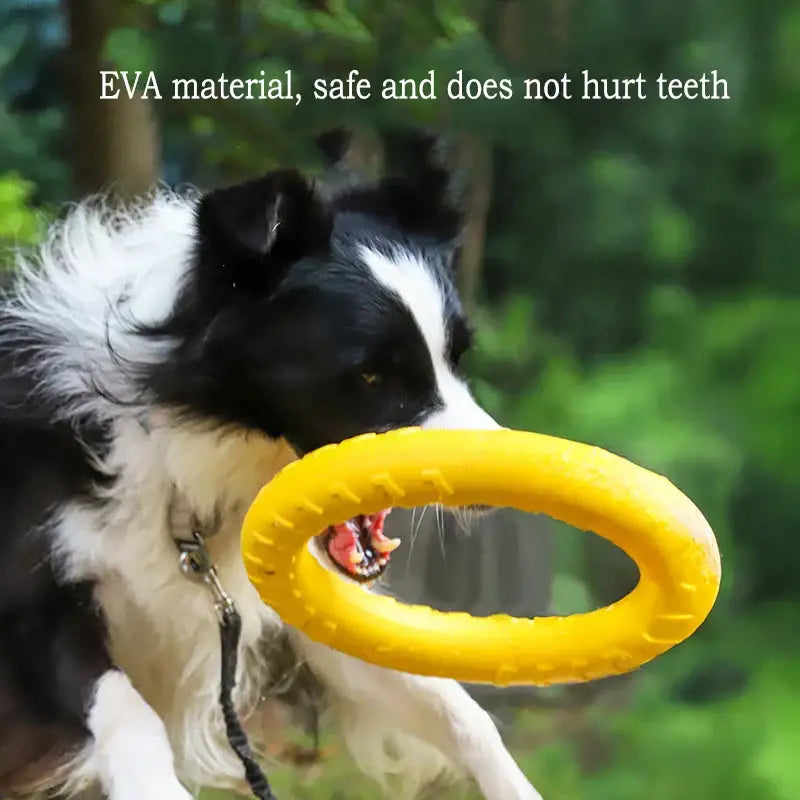 Jouets pour chiens durables en EVA