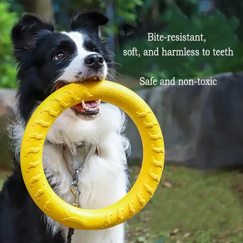 Jouets pour chiens durables en EVA