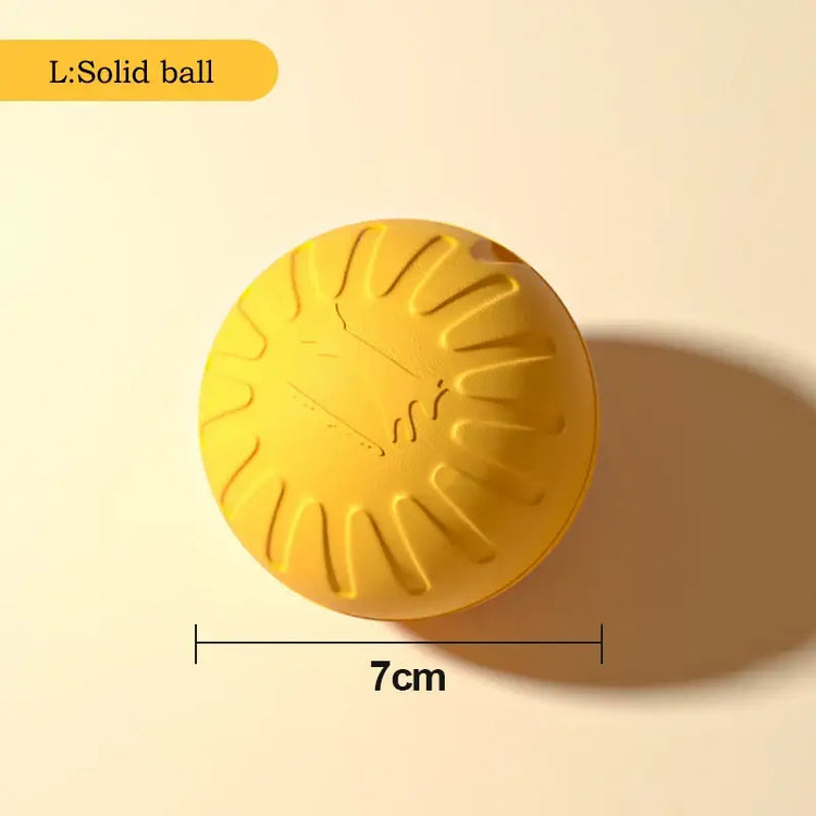 Jouets pour chiens durables en EVA - L Solidball