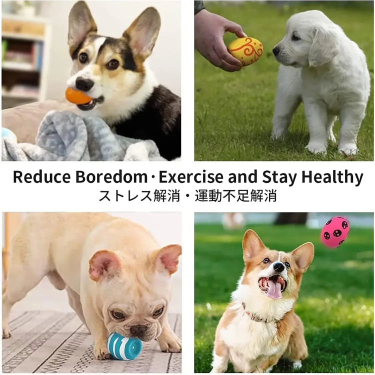 Jouets pour chiens en forme d’œuf rebondissant