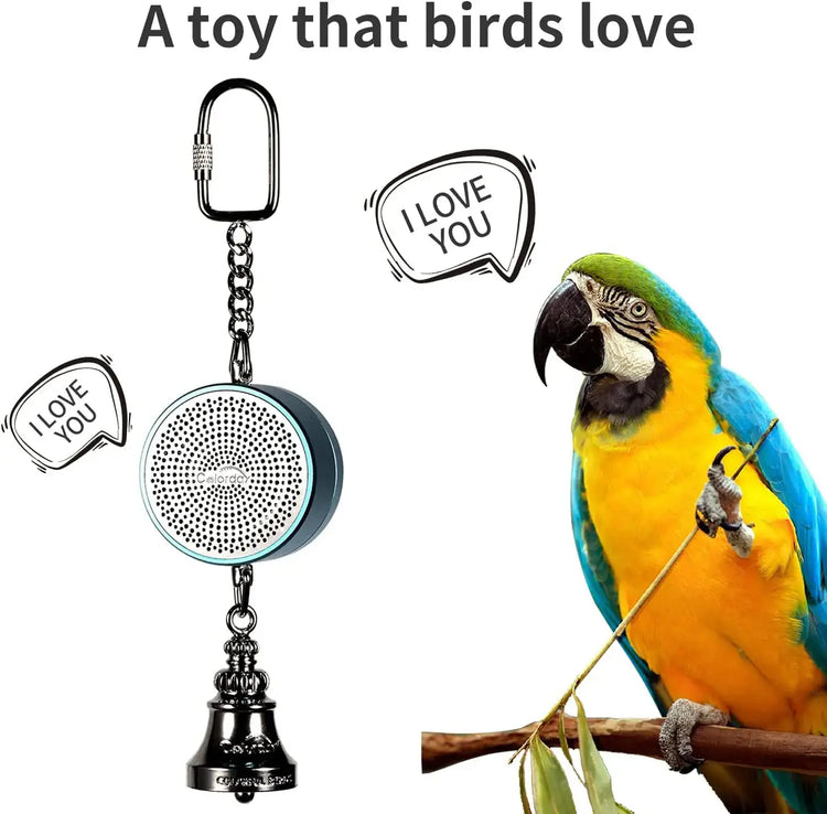 Jouets pour perroquets pour l’apprentissage et l’entraînement - Blue