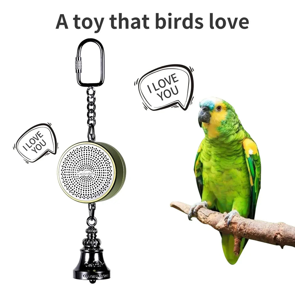 Jouets pour perroquets pour l’apprentissage et l’entraînement - green
