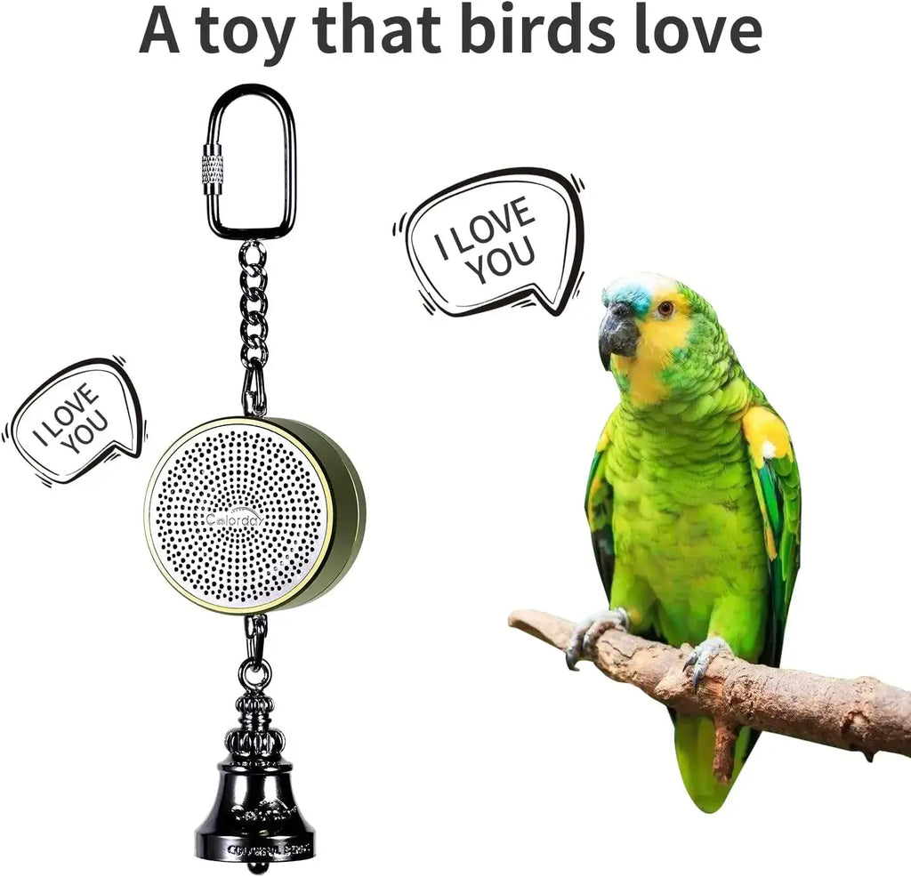 Jouets pour perroquets pour l’apprentissage et l’entraînement