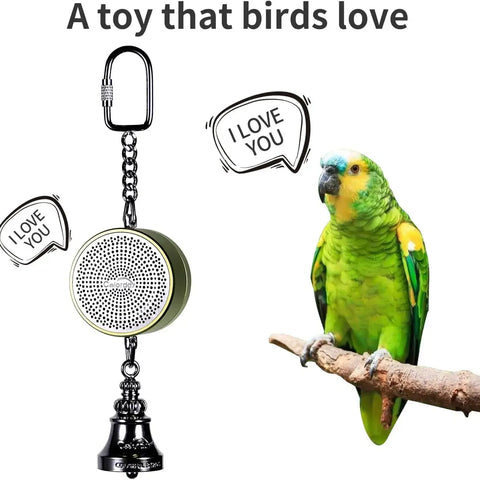 Jouets pour perroquets pour l’apprentissage et l’entraînement