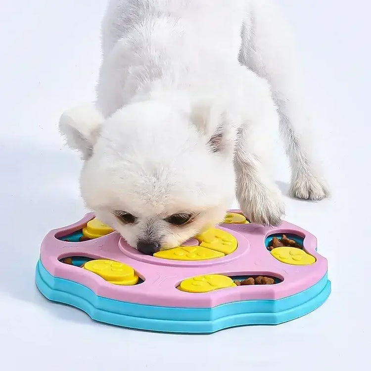 Jouets puzzle pour chiens