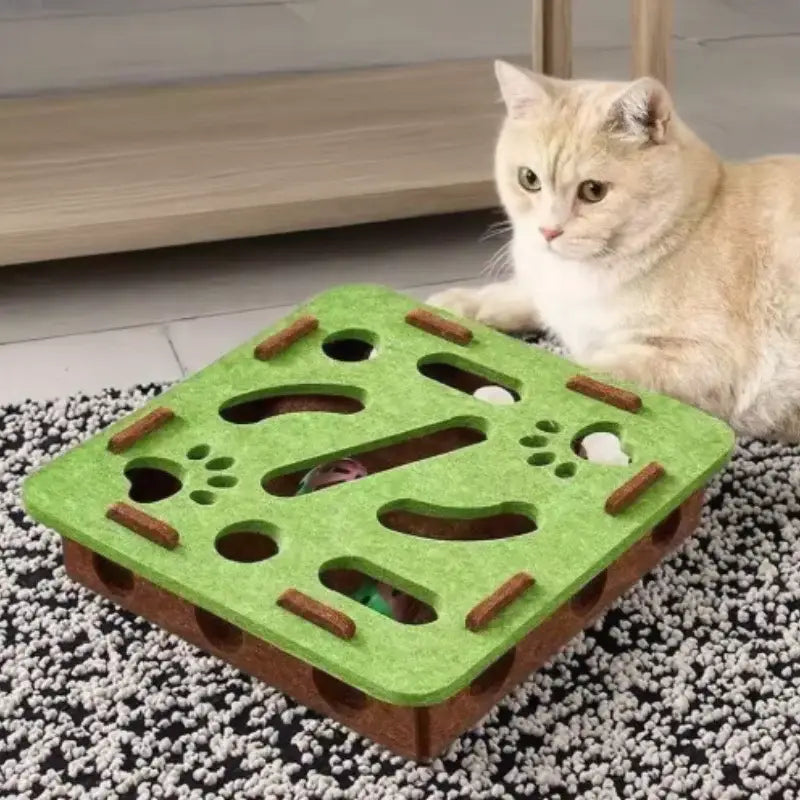 Labyrinthe à trous pour chats