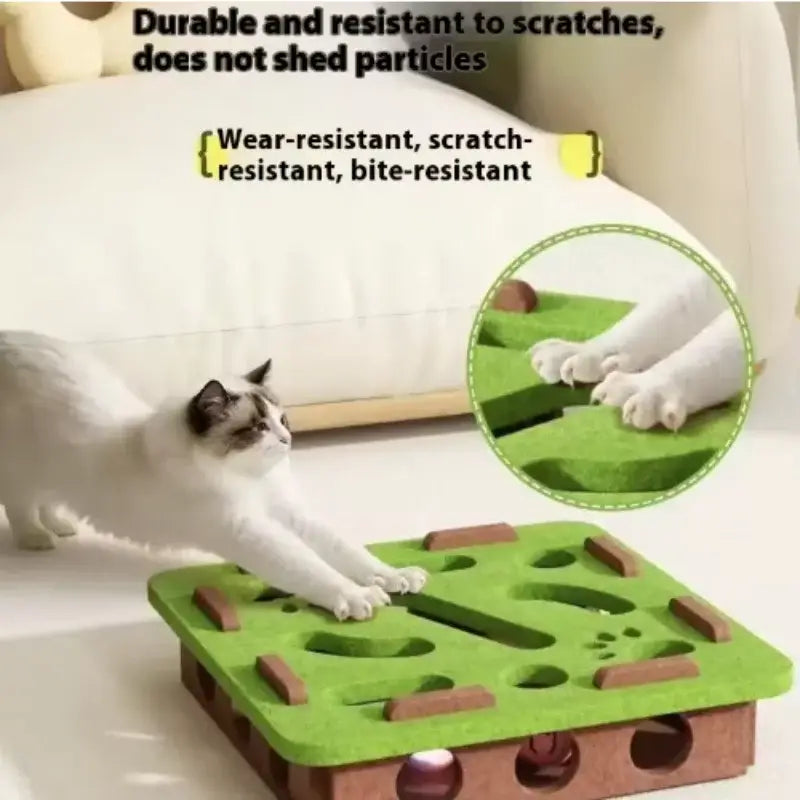 Labyrinthe à trous pour chats