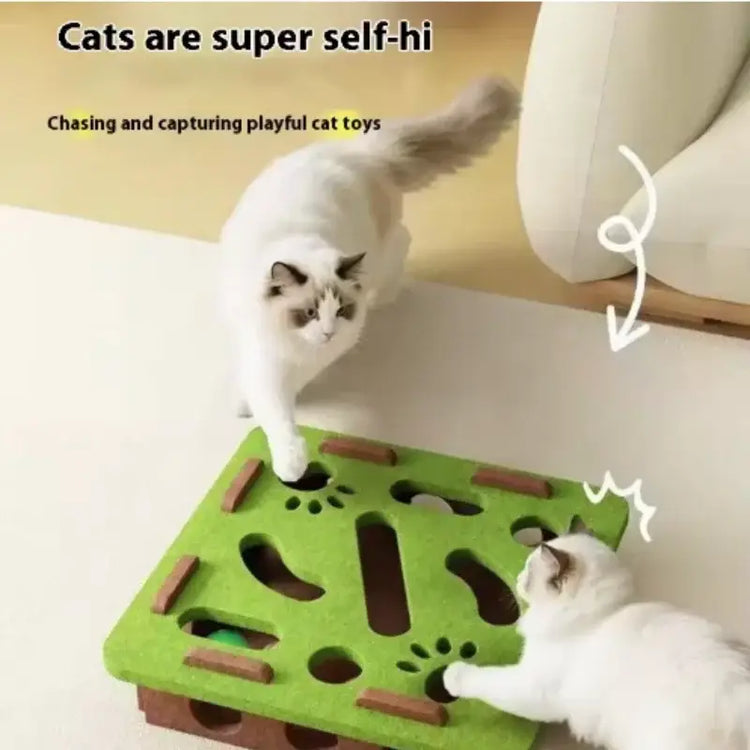 Labyrinthe à trous pour chats