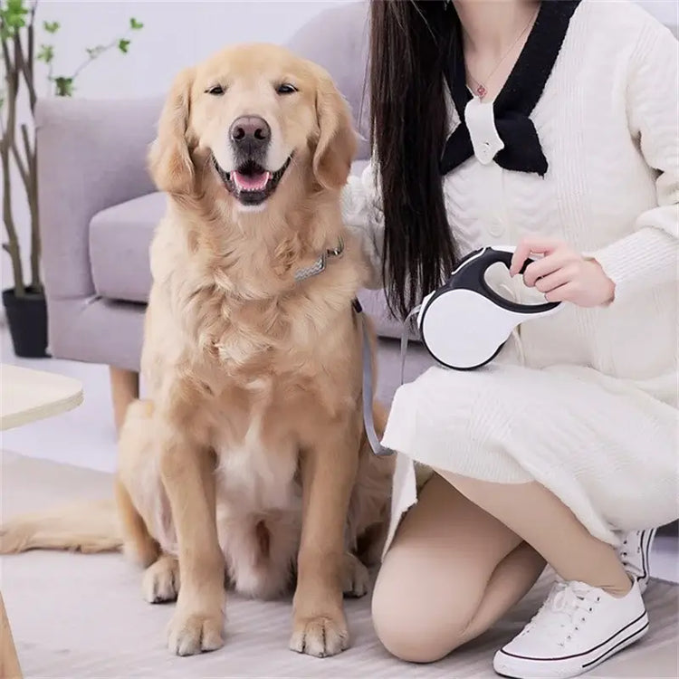 Laisse Chien 5–8 m avec Sac à Crottes