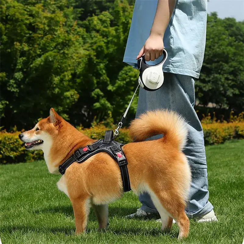 Laisse Chien 5–8 m avec Sac à Crottes