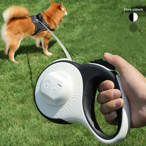Laisse Chien 5–8 m avec Sac à Crottes | PawFrance