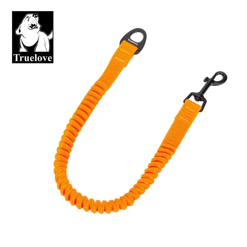 Laisse courte élastique - New Orange / M(37cm-60cm) / China Mainland