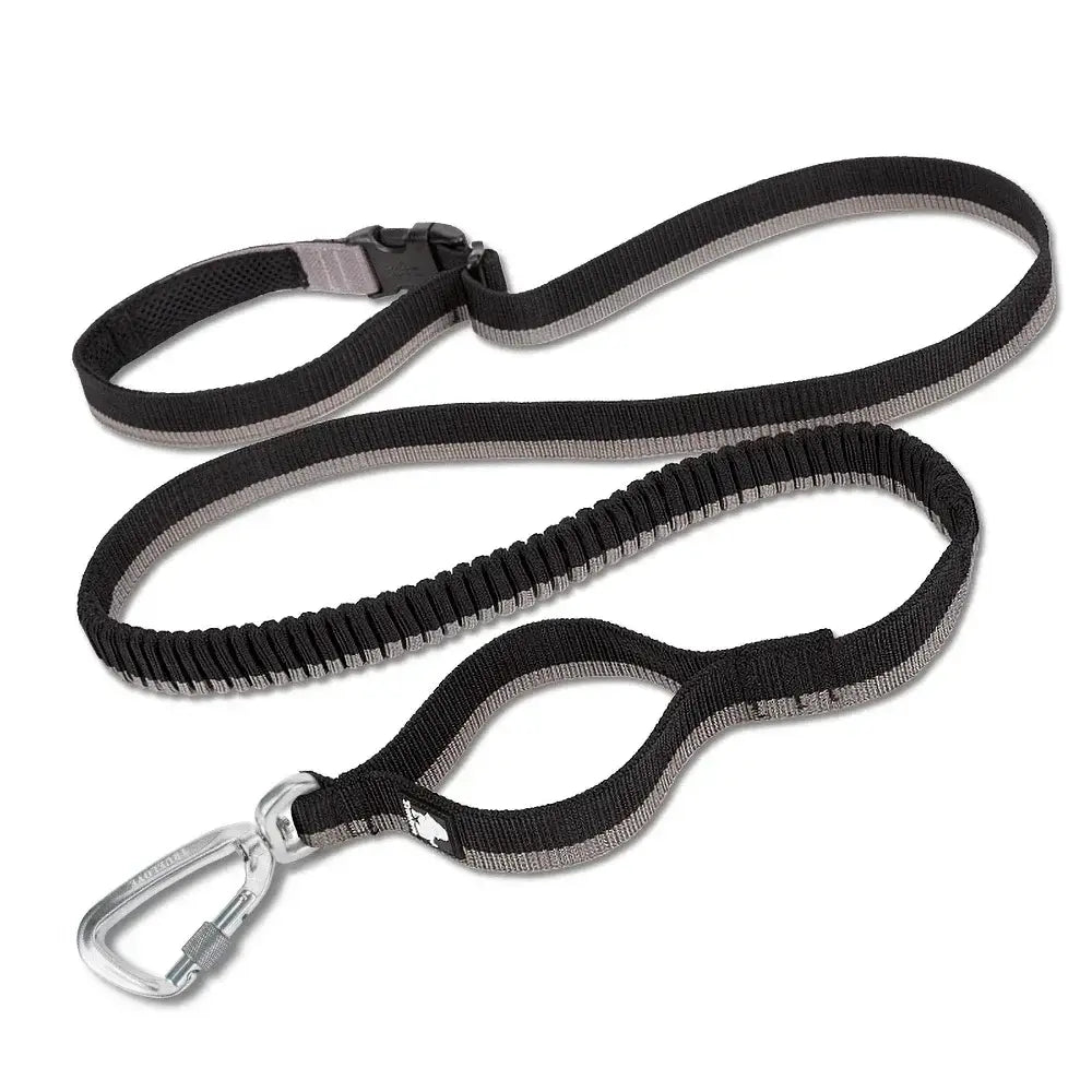 Laisse élastique pour animaux de compagnie - BLACK / L / france