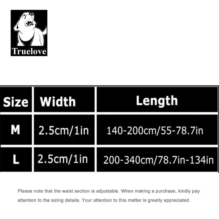 Laisse élastique pour animaux de compagnie