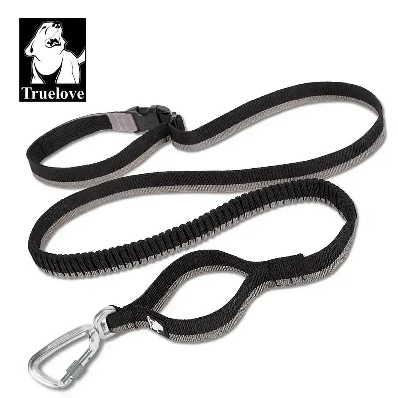 Laisse élastique pour animaux de compagnie