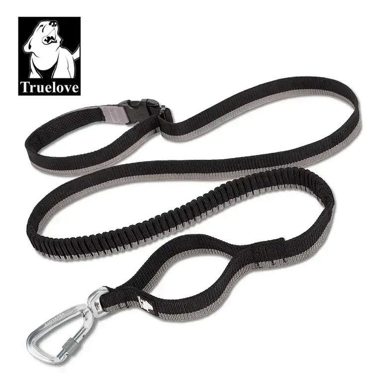 Laisse élastique pour animaux de compagnie