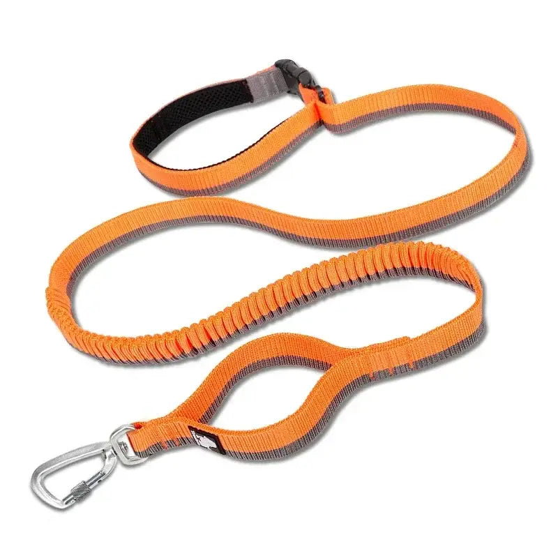 Laisse élastique pour animaux de compagnie - ORANGE / M / france