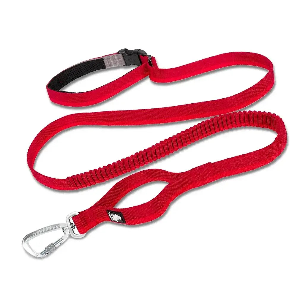 Laisse élastique pour animaux de compagnie - RED / M / france