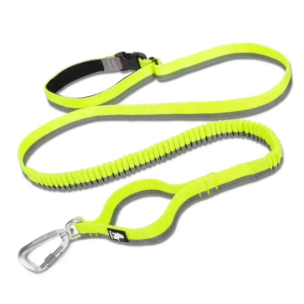 Laisse élastique pour animaux de compagnie - YELLLOW / M / france