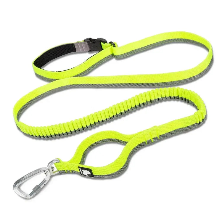 Laisse élastique pour animaux de compagnie - YELLLOW / M / france