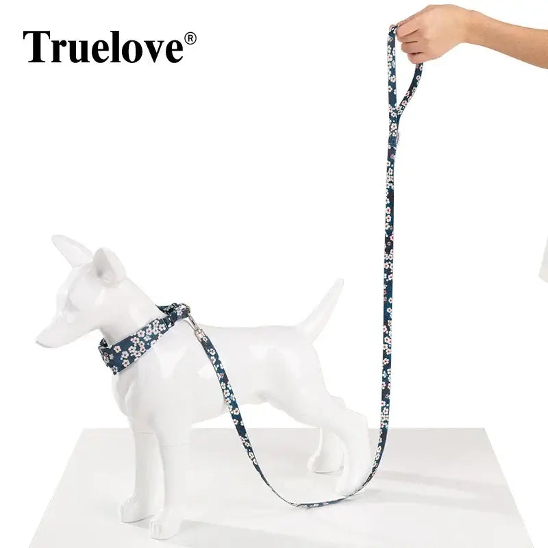Laisse fleurie pour animaux