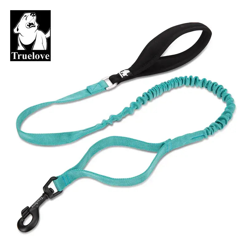 Laisse flexible pour chien - Baltic / S / China Mainland