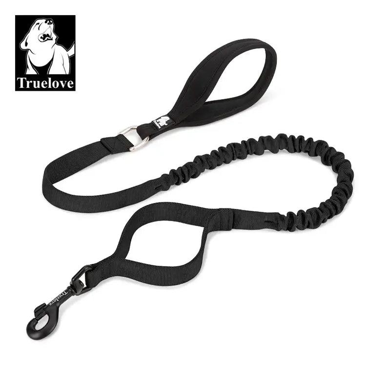 Laisse flexible pour chien - Black / S / China Mainland