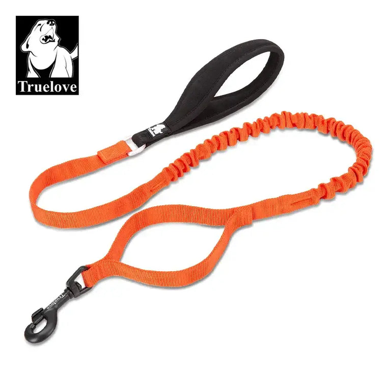 Laisse flexible pour chien - Orangeade / L / spain