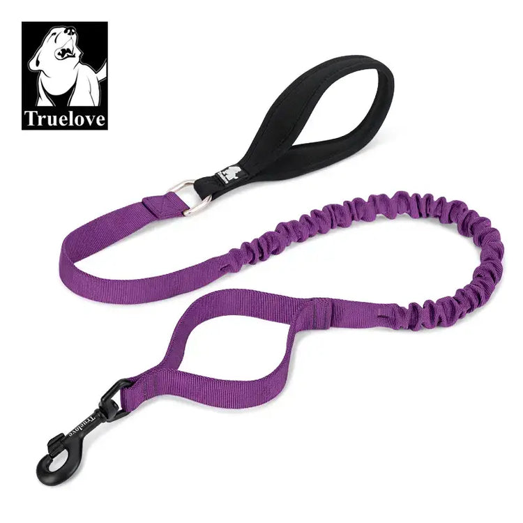 Laisse flexible pour chien - Purple / M / China Mainland