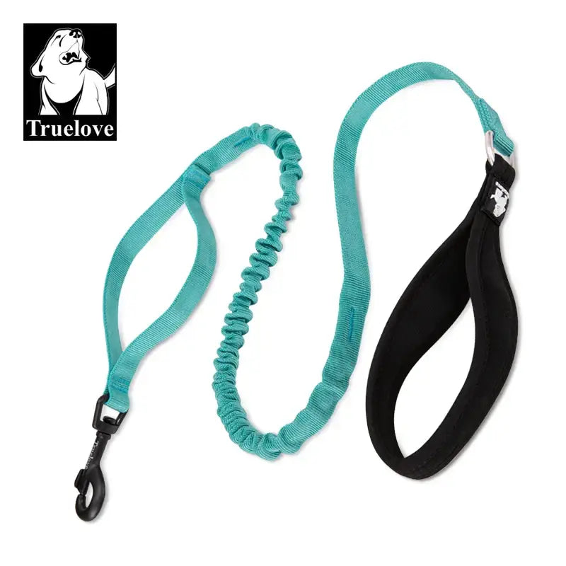 Laisse flexible pour chien